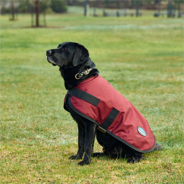 2025 Weatherbeeta Comfitec Classic Waterproof Dog Coat 1029048 - Burgundy